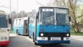 /album/fotogaleria/sam-0233-jpg/