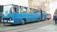 /album/fotogaleria/sam-0276-jpg/